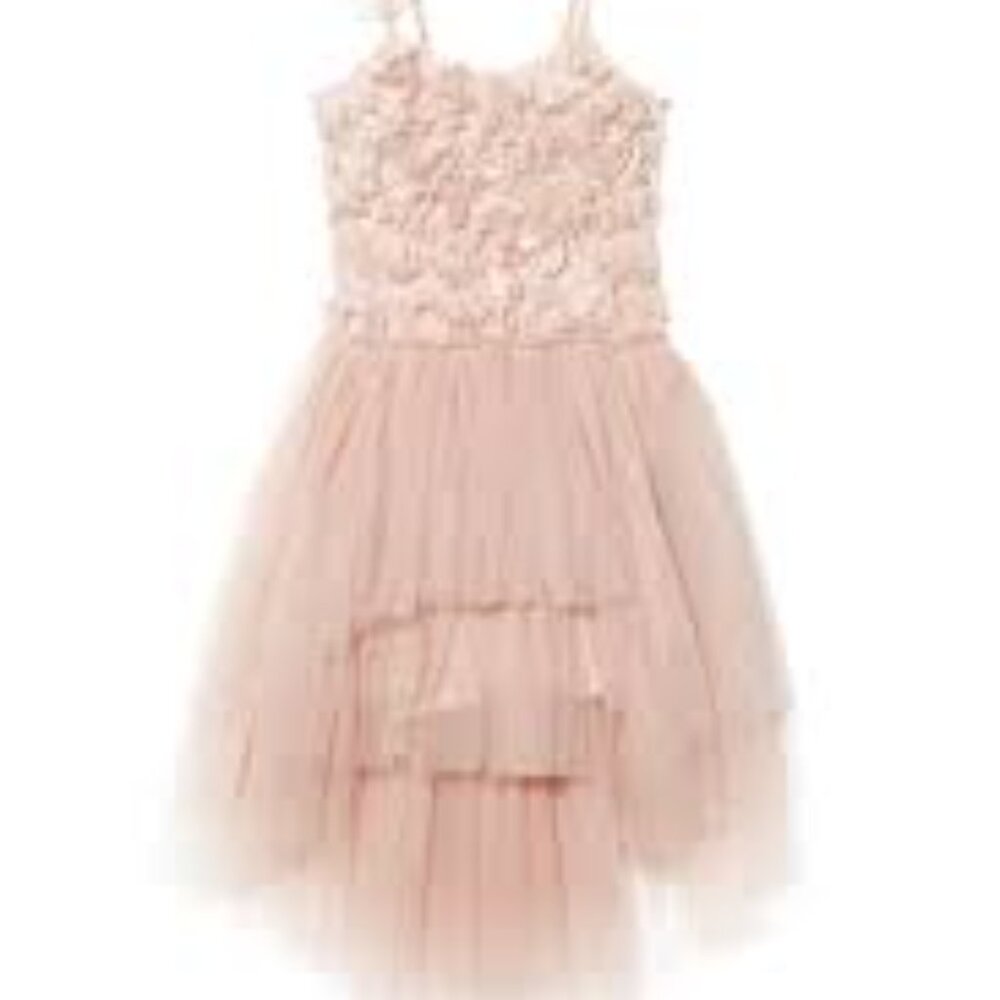 Tutu Du Monde Celestial tutu dress in blush